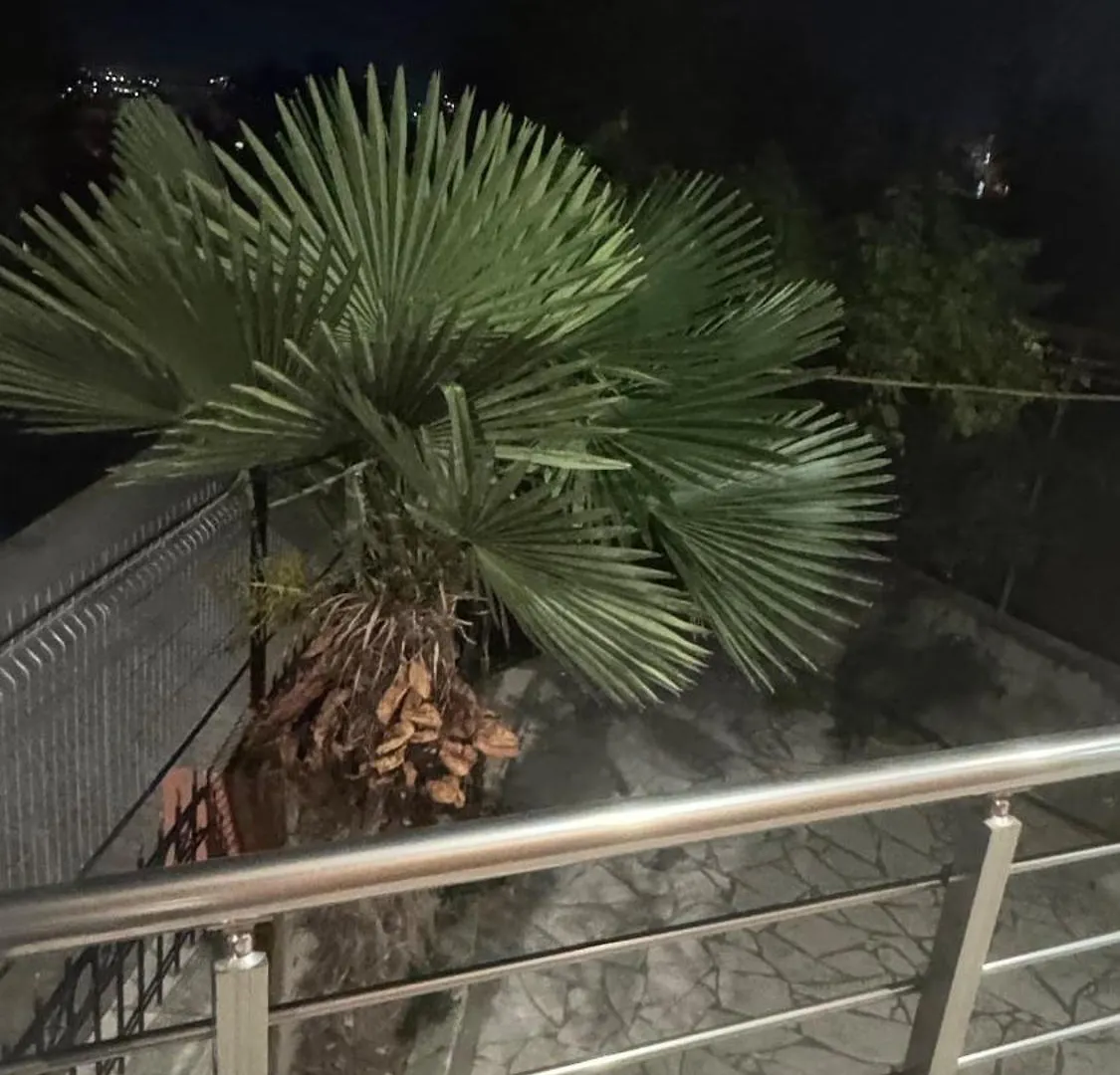 Ada Apartment Hilltop Serenity Polisi i Vogel